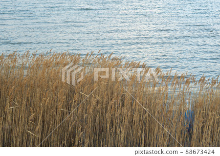 西海朗纜車 88673424