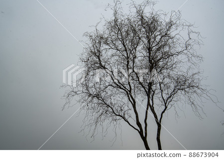 始興市潮灘生態公園 88673904