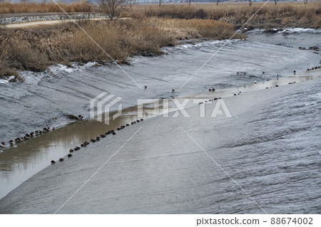 Siheung Tidal Flat Ecological Park 88674002