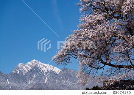 Anonymous cherry blossoms and Mt. Kaikoma Yamanashi Prefecture Anonymous cherry blossoms and Mt. Kaikoma Yamanashi Prefecture 88674170