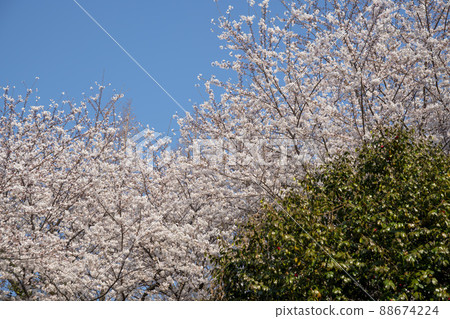 Dolsan Park 88674224