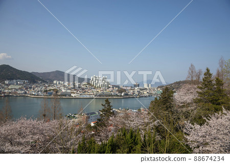 突山公園 突山公園 88674234