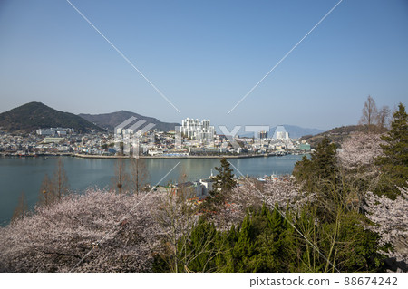 突山公園 突山公園 88674242