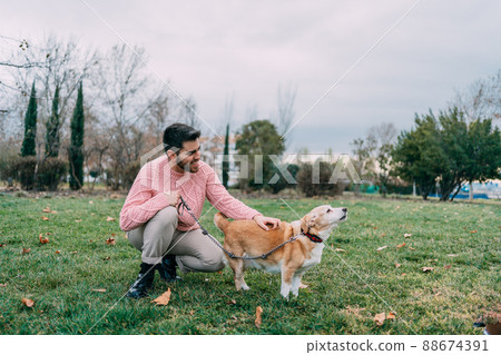 Happy young man crouched petting his dog walking in park Happy young man crouched petting his dog walking in park 88674391