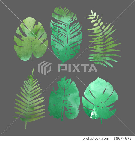 Set of watercolor tropical plants leaves. 88674675