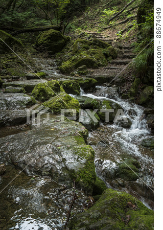 Mt. Mitake Mitake Gorge Rock Garden [Ome City, Tokyo] 88674949