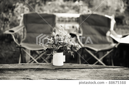 Two picnic chairs 88675388