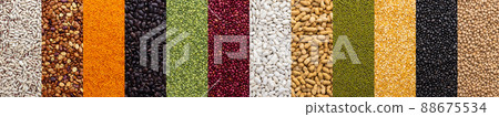 Banner of different types of legumes Banner of different types of legumes 88675534