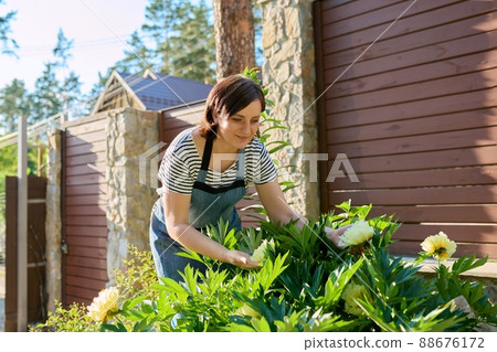Portrait of middle-aged woman in garden near flowering yellow peony bush 88676172