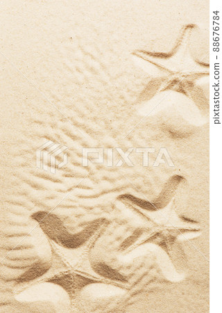 Seashells on the sand, beach background, top view 88676784