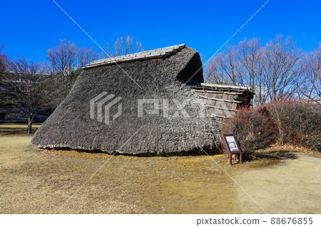 Pit-house dwelling in the Yayoi period (Otsuka Saikachi Ruins Park, Yokohama City) 88676855