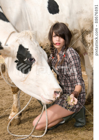 farmer feeding a cow in her farm 88676891