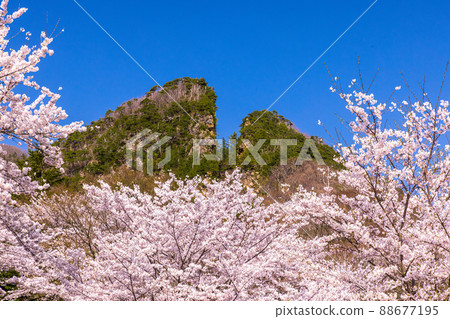 [Sado Gold Mine, Niigata Prefecture] Doyu no Warito 88677195
