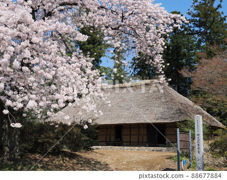 芥澤家宅邸(國家重要文化財產) 芥澤家宅邸(國家重要文化財產) 88677884