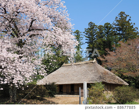 芥澤家宅邸(國家重要文化財產) 芥澤家宅邸(國家重要文化財產) 88677885