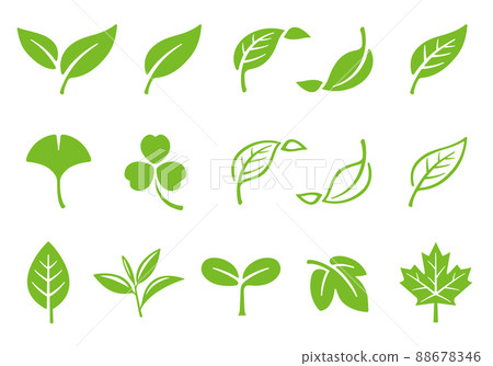 Leaf leaf icon illustration set 88678346