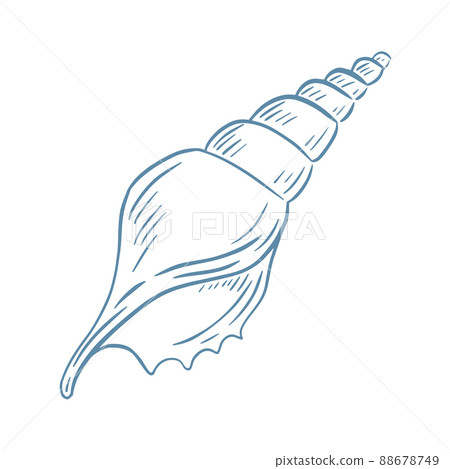 Beautiful drawn spiral shell hand drawn engraving vector illustration Beautiful drawn spiral shell hand drawn engraving vector illustration 88678749