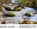 Mountain stream in old forest. 88680254