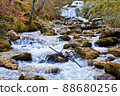 Mountain stream in old forest. 88680256