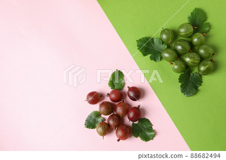 Red and green gooseberry on two tone background 88682494