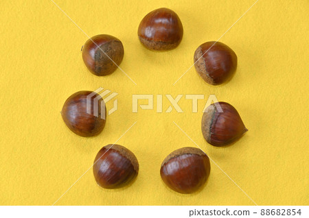 Autumn taste chestnuts lined up on a yellow background 88682854