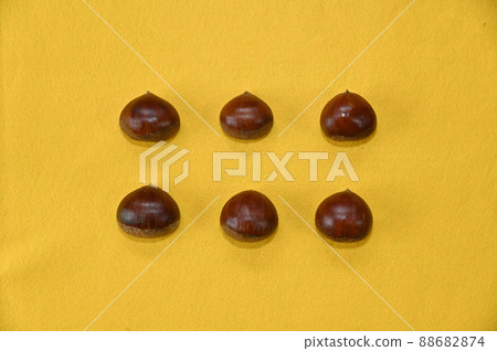 黃色背景中排列的秋味栗子 88682874