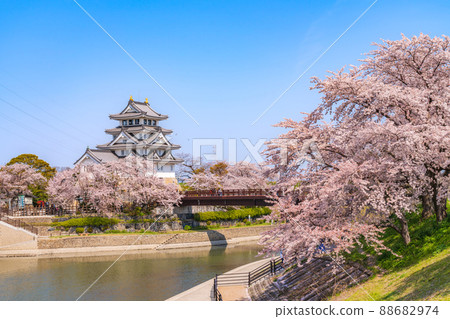 Sunomata Ichiya Castle in spring, cherry blossoms in full bloom <Ogaki City, Gifu Prefecture> Sunomata Ichiya Castle in spring, cherry blossoms in full bloom <Ogaki City, Gifu Prefecture> 88682974