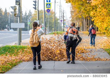 A female utility worker uses a blower to remove fallen leaves in an alley in a park. A female utility worker uses a blower to remove fallen leaves in an alley in a park. 88683045