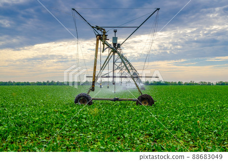 Watering beets in a large field using a self-propelled sprinkler system with a center swing. Modern agricultural technologies. Industrial production of agricultural crops. Copy space 88683049