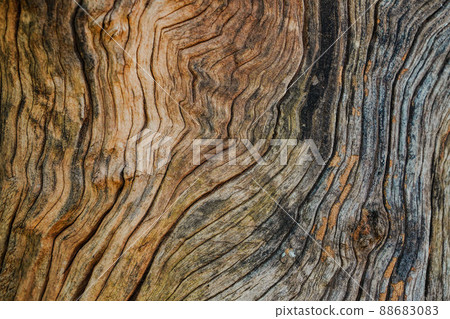 close up of abstract wooden texture close up of abstract wooden texture 88683083