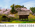 Sakura and stilt warehouse 88683084