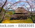 Thicker roof and cherry blossoms 88683085