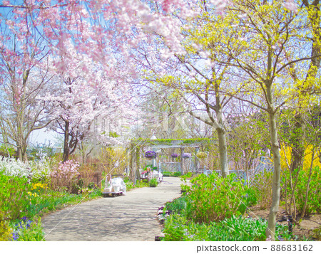 Niigata Prefecture Mitsuke English Garden Niigata Prefecture Mitsuke English Garden 88683162