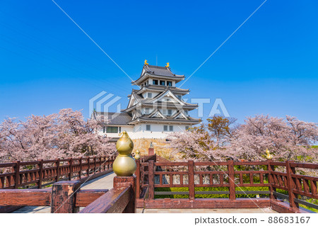 Sunomata Ichiya Castle in spring, cherry blossoms in full bloom <Ogaki City, Gifu Prefecture> 88683167