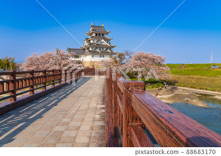Sunomata Ichiya Castle in spring, cherry blossoms in full bloom <Ogaki City, Gifu Prefecture> Sunomata Ichiya Castle in spring, cherry blossoms in full bloom <Ogaki City, Gifu Prefecture> 88683170