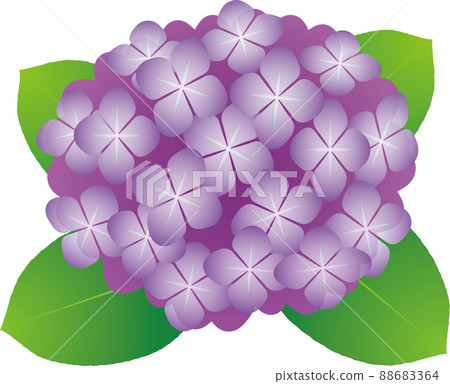 Simple and transparent purple hydrangea illustration 88683364