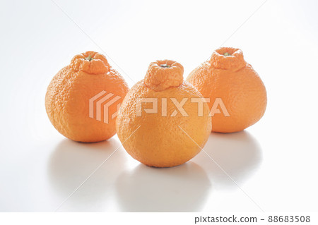 Dekopon Fruit Fruit Dekopon Fruit Fruit 88683508