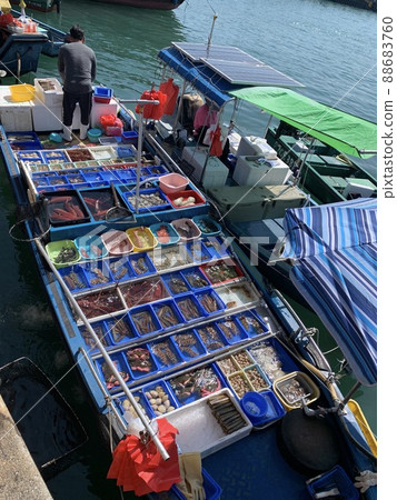 Memories of international marriage in Hong Kong. Memories of international marriage in Hong Kong. 88683760