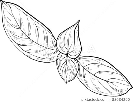 Steak food line art 88684200