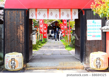 京都南海岸的長見寺 京都南海岸的長見寺 88684325