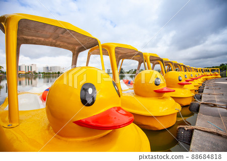 Yellow duck Pedal boat  in park. 88684818