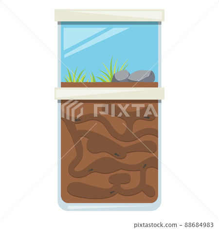Ant farm toy. Tunnel for colony of insects. Home glass terrarium. Vector illustration. 88684983