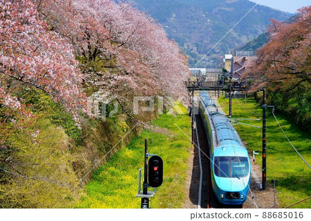 春季御殿場線櫻花隧道和特急富士 88685016
