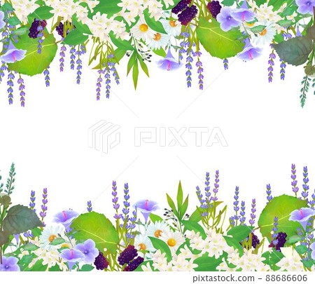 White background vector frame illustration material of fashionable watercolor plant of Scandinavian herbs with pop and gentle colors 88686606