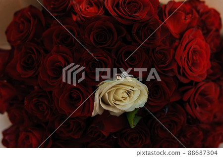 Bouquet of red roses, women's gold ring with a stone. Bouquet of red flowers. An offer of marriage Bouquet of red roses, women's gold ring with a stone. Bouquet of red flowers. An offer of marriage 88687304
