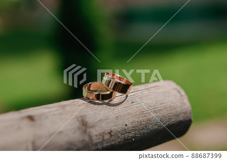 A pair of gold wedding rings on a green background. Rings on the background of leaves and wood A pair of gold wedding rings on a green background. Rings on the background of leaves and wood 88687399