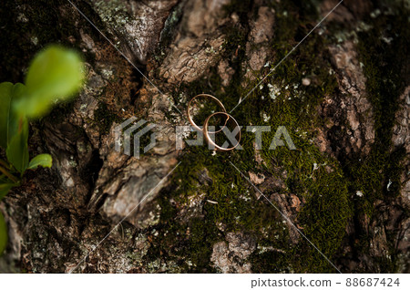 A pair of gold wedding rings on a green background. Rings on the background of leaves and wood 88687424