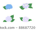 Hydrangea illustration set 88687720
