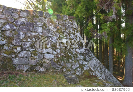 春天岐阜的岩村城跡 春天岐阜的岩村城跡 88687903