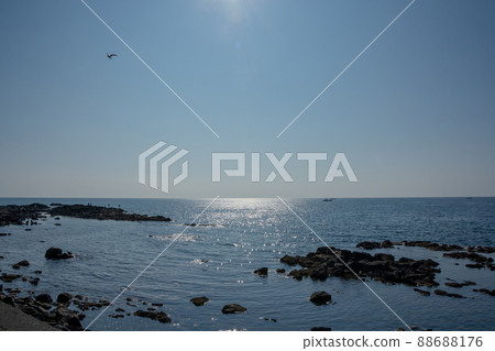 Shining sea reflecting sunlight 88688176